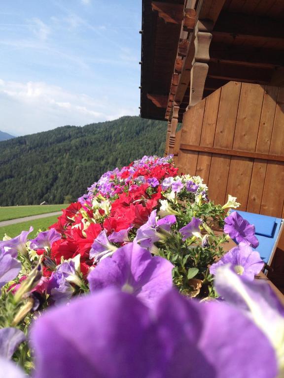 Zehrehof Guest House Bressanone Room photo